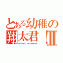 とある幼稚の翔太君！Ⅱ（体は中学生、脳は幼稚園児Ｗ）