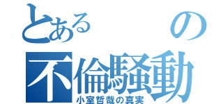 とあるの不倫騒動（小室哲哉の真実）