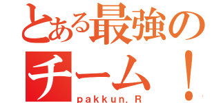 とある最強のチーム！（ｐａｋｋｕｎ．Ｒ）