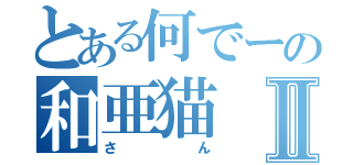 とある何でーの和亜猫Ⅱ（さん）