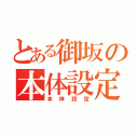 とある御坂の本体設定（本体設定）