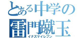 とある中学の雷門蹴玉（イナズマイレブン）