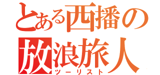 とある西播の放浪旅人（ツーリスト）