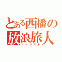 とある西播の放浪旅人（ツーリスト）