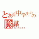 とある中学生のの陰謀（インデックス）