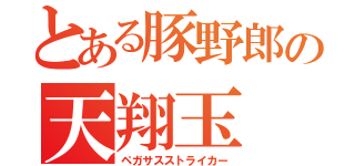 とある豚野郎の天翔玉（ペガサスストライカー）