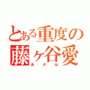 とある重度の藤ヶ谷愛（あかね）