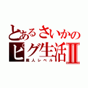 とあるさいかのピグ生活Ⅱ（廃人レベル）