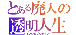 とある廃人の透明人生（インジビブルライフ）