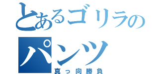 とあるゴリラのパンツ（真っ向勝負）