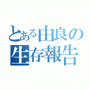 とある由良の生存報告（）