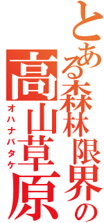 とある森林限界の高山草原（オハナバタケ）