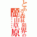 とある森林限界の高山草原（オハナバタケ）