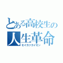 とある高校生の人生革命（セイカツカイゼン）