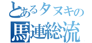 とあるタヌキの馬連総流し（）