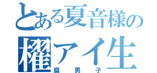 とある夏音様の櫂アイ生活（腐男子）