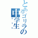 とあるゴリラの中学生（ゴリラ）