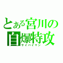 とある宮川の自爆特攻（サイバイマン）