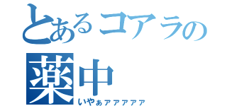 とあるコアラの薬中（いやぁァァァァァ）