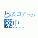 とあるコアラの薬中（いやぁァァァァァ）