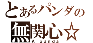 とあるパンダの無関心☆（Ａ ｐａｎｄａ）