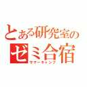 とある研究室のゼミ合宿（サマーキャンプ）