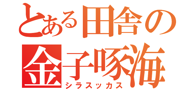 とある田舎の金子啄海（シラスッカス）