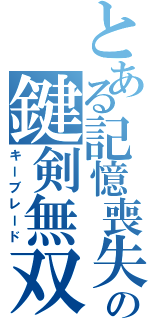 とある記憶喪失の鍵剣無双（キーブレード）