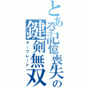 とある記憶喪失の鍵剣無双（キーブレード）