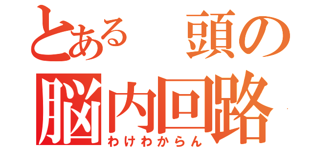 とある 頭の脳内回路（わけわからん）