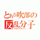 とある吹部の反乱分子（プロテスタント）