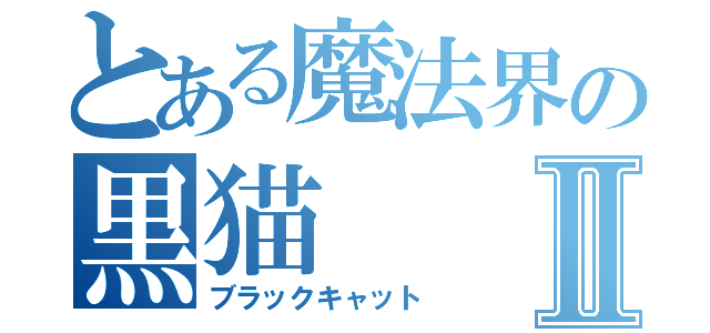 とある魔法界の黒猫Ⅱ（ブラックキャット）
