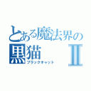 とある魔法界の黒猫Ⅱ（ブラックキャット）