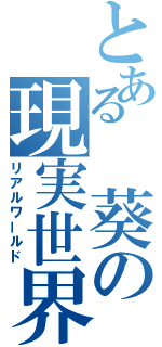 とある　葵の現実世界（リアルワールド）