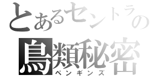 とあるセントラルパークの鳥類秘密捜査官（ペンギンズ）