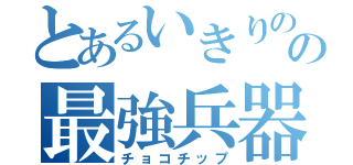 とあるいきりのの最強兵器（チョコチップ）