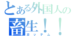 とある外国人の畜生！！（ガッテム）