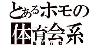 とあるホモの体育会系（集団行動）