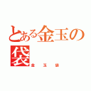 とある金玉の袋（金玉袋）