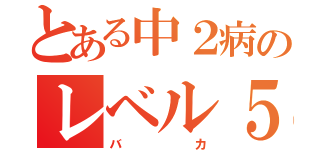 とある中２病のレベル５（バカ）