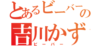 とあるビーバーの吉川かずき（ビーバー）