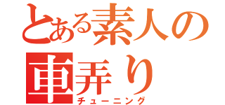 とある素人の車弄り（チューニング）