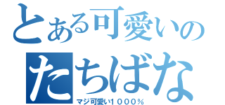 とある可愛いのたちばな（マジ可愛い１０００％）