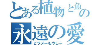 とある植物と魚の永遠の愛（ヒラメーもやしー）