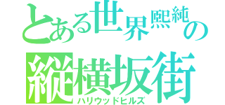 とある世界煕純の縦横坂街（ハリウッドヒルズ）