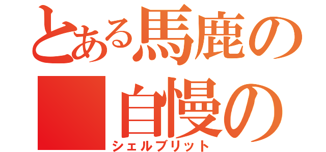 とある馬鹿の 自慢の拳（シェルブリット）