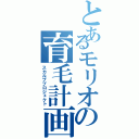 とあるモリオの育毛計画（スカルププロジェクト）