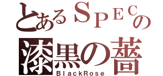 とあるＳＰＥＣの漆黒の薔薇（ＢｌａｃｋＲｏｓｅ）