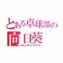 とある卓球部の向日葵（ほしみＬＯＶＥ）