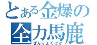 とある金爆の全力馬鹿（ぜんりょくばか）